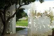 Masseria Don Luigi-Luxury Farmhouse  