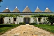 Masseria Trulli e Vigne